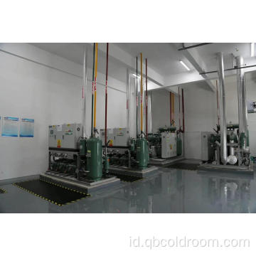 Kamar Freezer Cepat -30 Degree